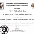 Ampliar imagen: certificate 5