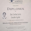 Ampliar imagen: certificate 5