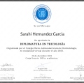 Ampliar imagen: certificate 3