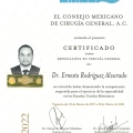 Ampliar imagen: certificate 4