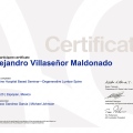 Ampliar imagen: certificate 22