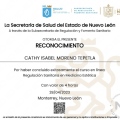 Ampliar imagen: certificate 3