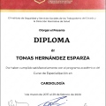 Ampliar imagen: certificate 5
