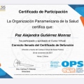 Ampliar imagen: certificate 29