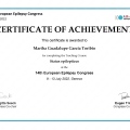 Ampliar imagen: certificate 17