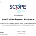 Ampliar imagen: certificate 2