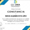 Ampliar imagen: certificate 1