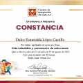 Ampliar imagen: certificate 20