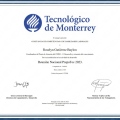 Ampliar imagen: certificate 6