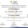 Ampliar imagen: certificate 17