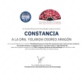 Ampliar imagen: certificate 19