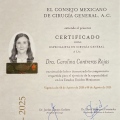 Ampliar imagen: certificate 1