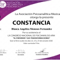 Ampliar imagen: certificate 9