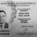 Ampliar imagen: certificate 2