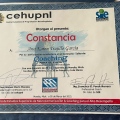Ampliar imagen: certificate 3