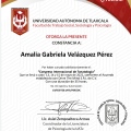 Ampliar imagen: certificate 5