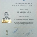 Ampliar imagen: certificate 2