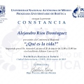 Ampliar imagen: certificate 14