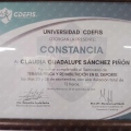 Ampliar imagen: certificate 12