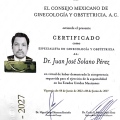 Ampliar imagen: certificate 1