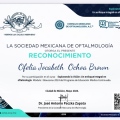 Ampliar imagen: certificate 2