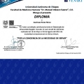 Ampliar imagen: certificate 9