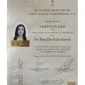 Ampliar imagen: certificate 1