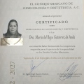 Ampliar imagen: certificate 2