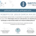 Ampliar imagen: certificate 16