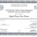 Ampliar imagen: certificate 1