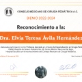 Ampliar imagen: certificate 2