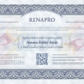 Ampliar imagen: certificate 9