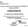 Ampliar imagen: certificate 49