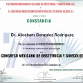 Ampliar imagen: certificate 13