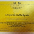 Ampliar imagen: certificate 2