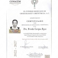 Ampliar imagen: certificate 2
