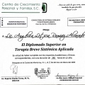 Ampliar imagen: certificate 21