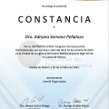Ampliar imagen: certificate 6