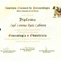 Ampliar imagen: certificate 3