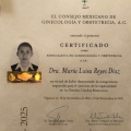 Ampliar imagen: certificate 1