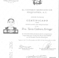 Ampliar imagen: certificate 3
