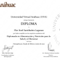 Ampliar imagen: certificate 28