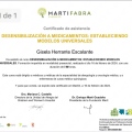 Ampliar imagen: certificate 4