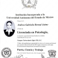 Ampliar imagen: certificate 4