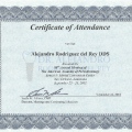 Ampliar imagen: certificate 22