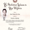 Ampliar imagen: certificate 5