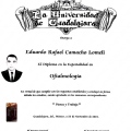 Ampliar imagen: certificate 2