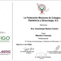 Ampliar imagen: certificate 7