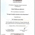 Ampliar imagen: certificate 14