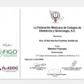 Ampliar imagen: certificate 4